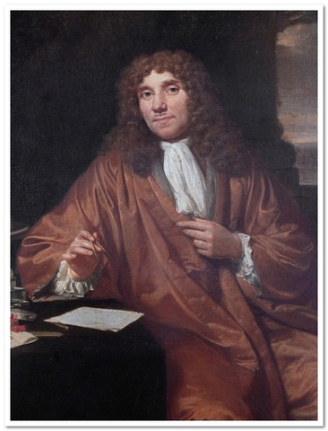 Leeuwenhoek sees living cells