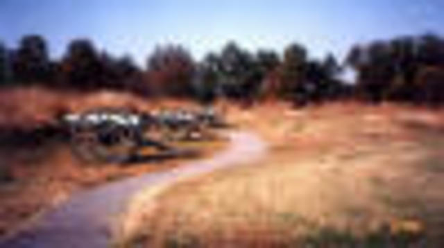 The Battle of Fort Stedman