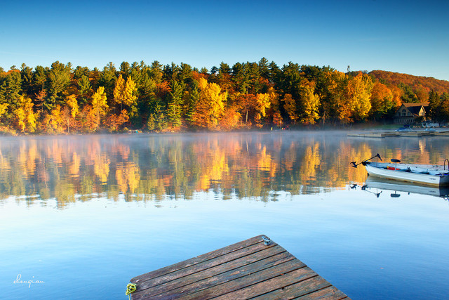 Go to Algonquin in October