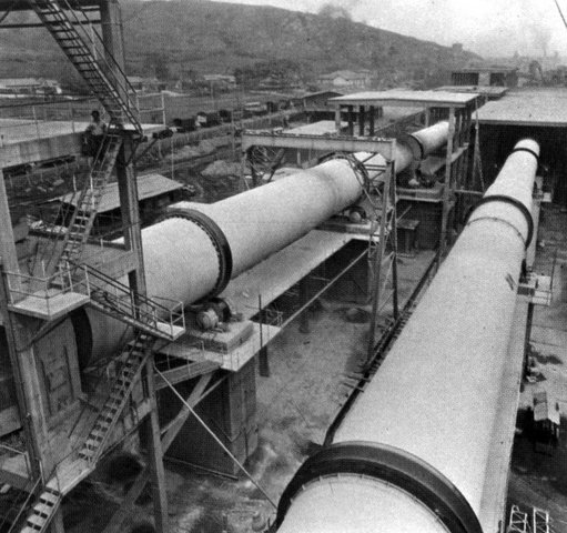 Crecimiento de la planta Yumbo Valle