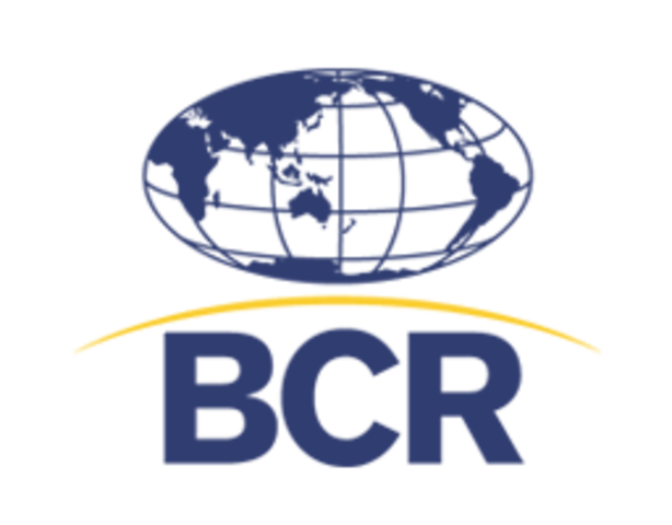 BCR como sociedad anónima