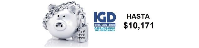 Creación del IGD.