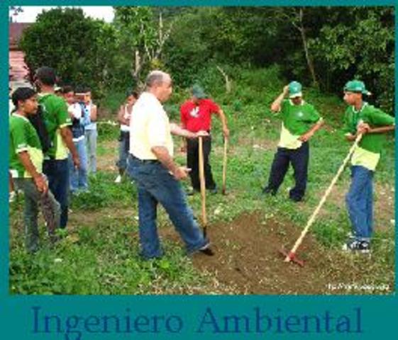 desarrollo de profesion