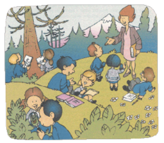 Escuela Nueva o Activa