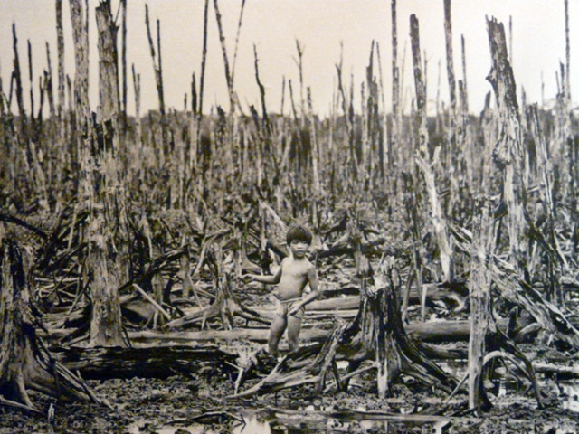 Política Internacional para el Cuidado del Medio Ambiente