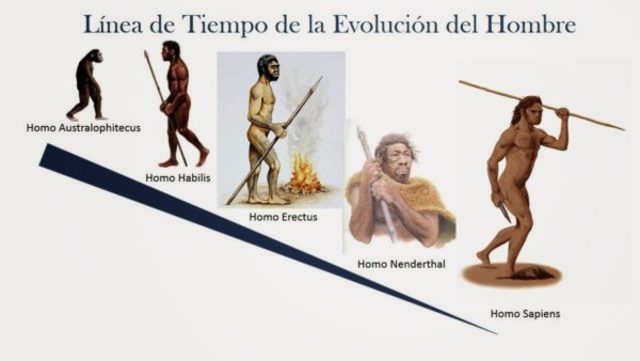 Aparición del Homo sapiens