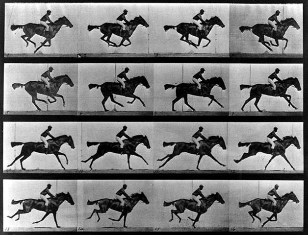 Eadweard Muybridge: 'El cavall en moviment'