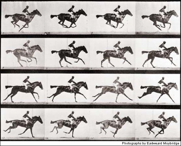 Cámara del movimiento