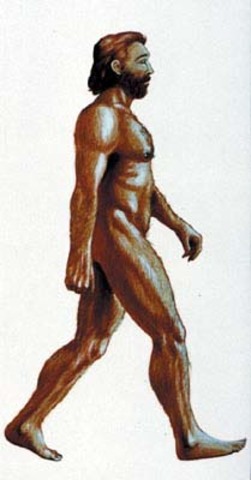 Aparición del Homo sapiens en la península