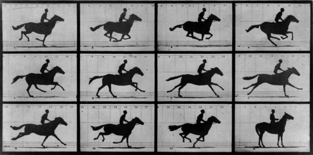 El Caballo de Muybridge