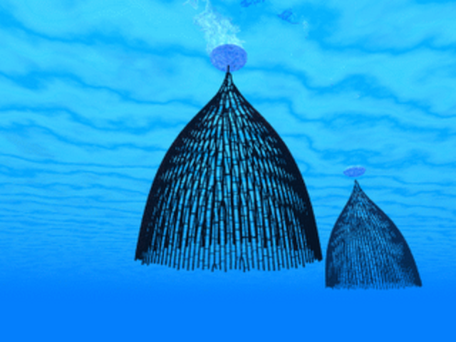 Noves espècies de graptòlits marins colonials