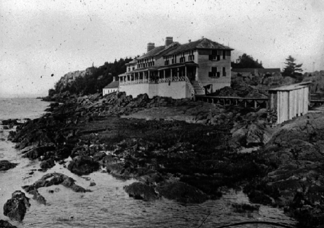 Potato Famine (part 2)