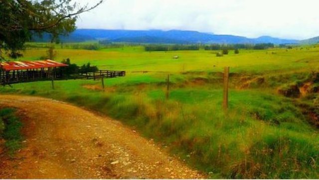 La tenencia de la tierra durante los inicios de el estado mexicano