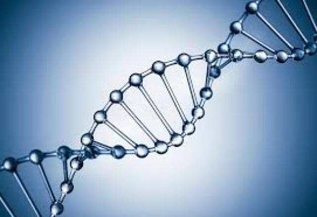 Human Genome Project Completed