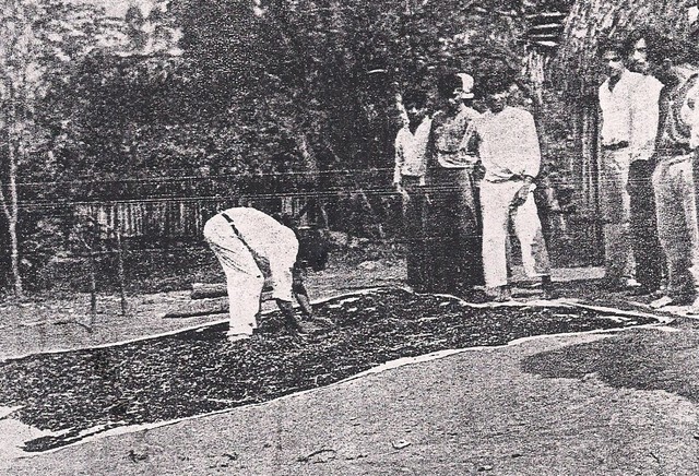 La propiedad territorial