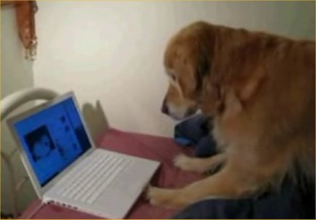 Mexican Constitution