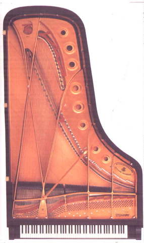 Modern Steinway Grand Piano Model D