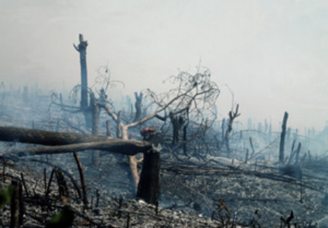 Política internacional para el cuidado del medio ambiente.