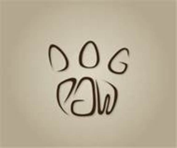 Adopted my dog Wilson