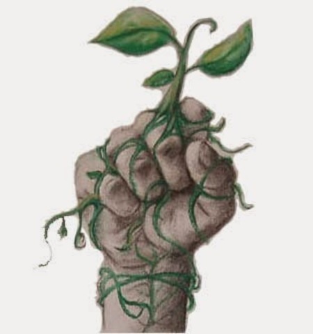 Movimiento ecologista en Estados Unidos