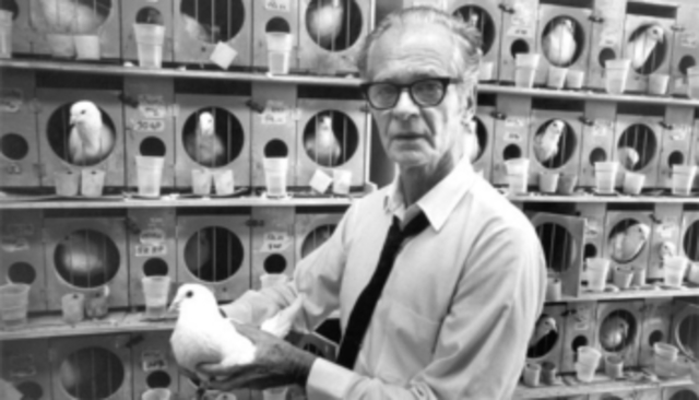 1950 Conductismo radical