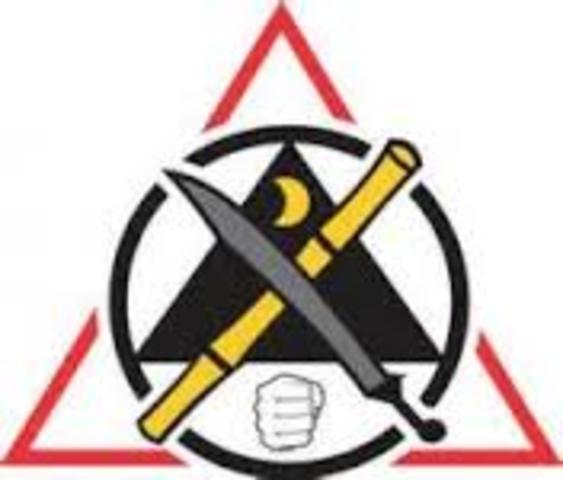 Troy Starts Practicing Different Martial Arts