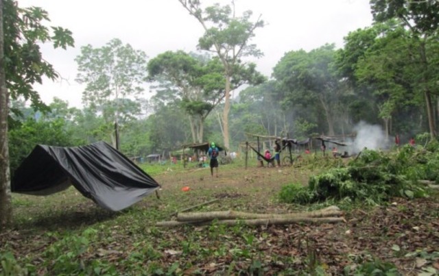Temor en Capurganá por invasión masiva de lotes