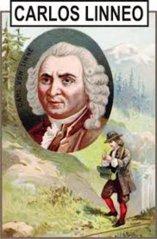 KARL VON LINNEO