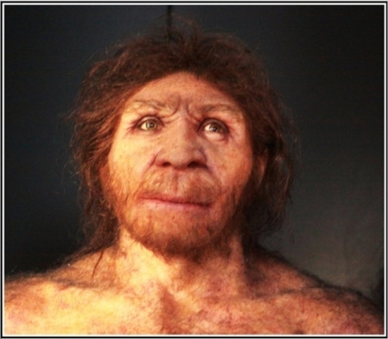 Homo Antecessor