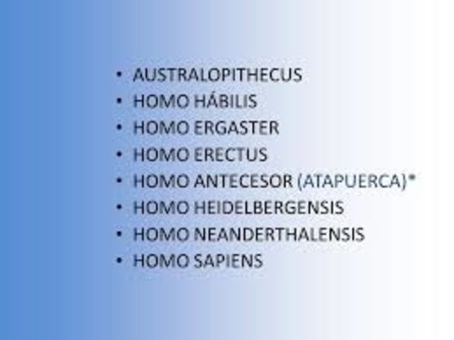 PROCESO DE HOMINIZACIÓN (hace 800000 años)
