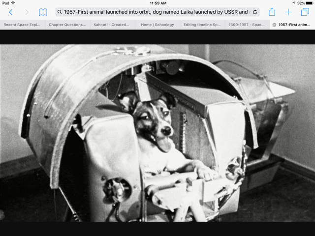 First animal into space