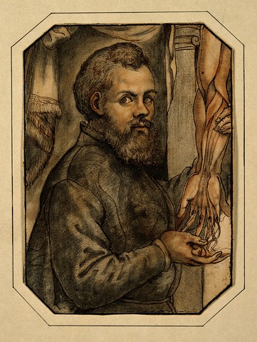 Andreas Vesalius Published a Book.