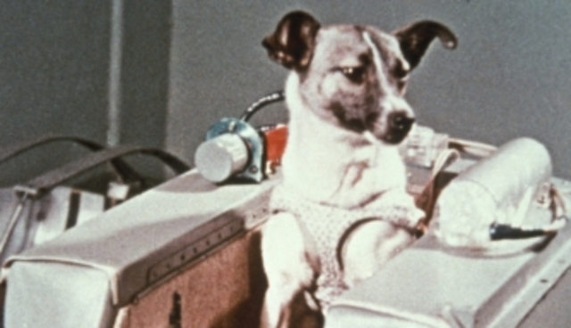 First Live Animal in Space