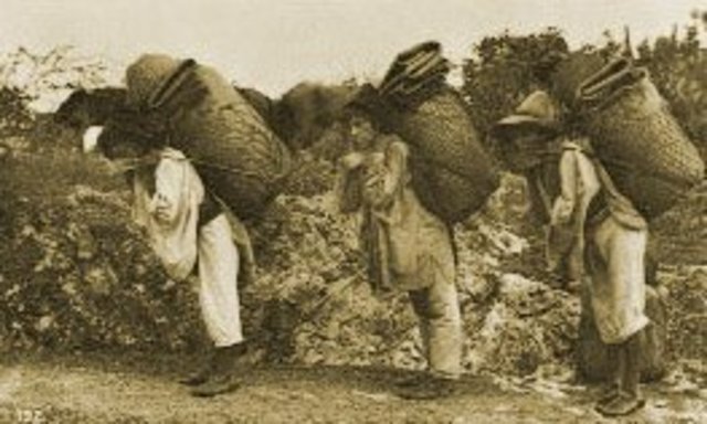 Condiciones de trabajo en el campo