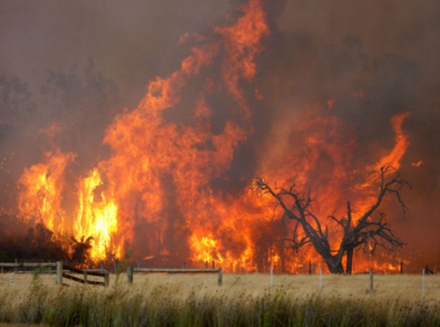Black Tuesday Bushfires in Tasmania