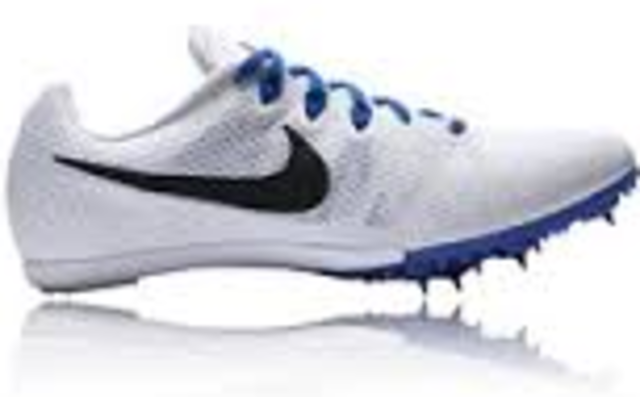 Introduction of The Running Shoe