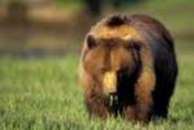 NSW wildparks established