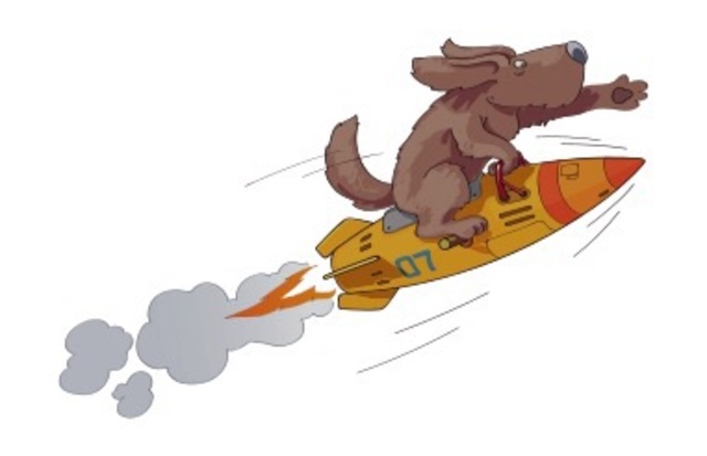 First animal launched into orbit