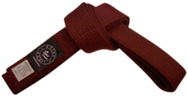 Mi ultimo examen de taekwondo