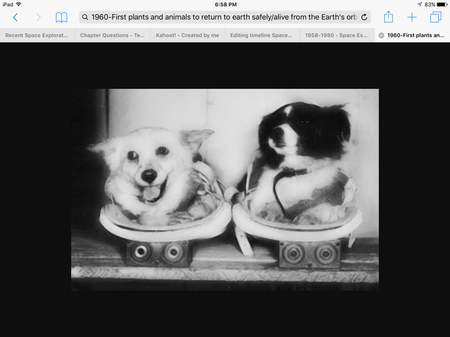 First plants and animals to survive