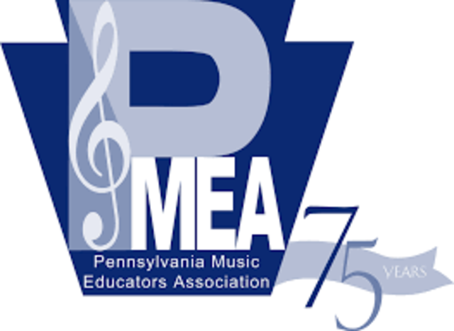 First Musical Audition of District 11 Orchestra