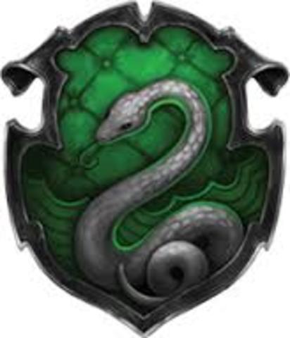 Albus travels to Hogwarts and gets Sorted into Slytherin.