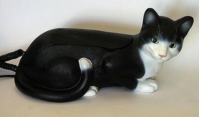 Cat telephone