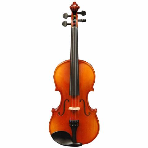 The Violin Today