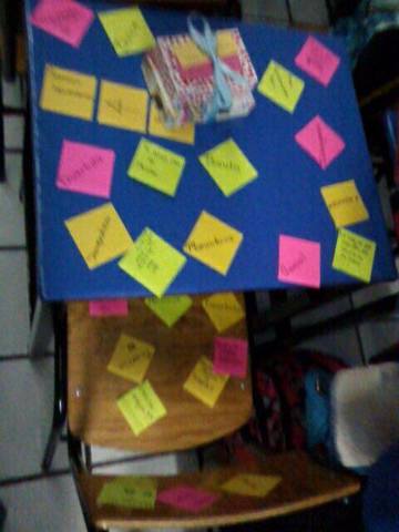 Mi cumpleaños número 14.