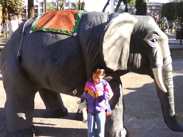 Fui a African Safari