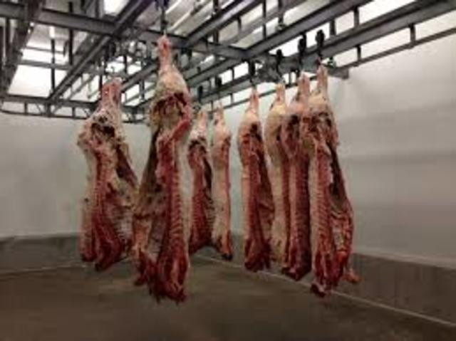 Upton Sinclair Publishes The Jungle