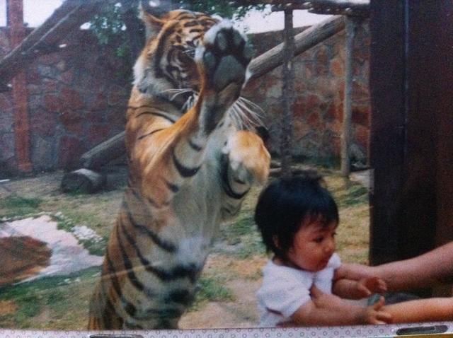 Visita al zoológico