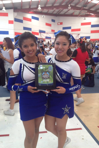 Campeonato de porras