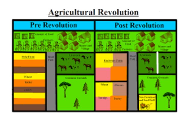 Overpopulation of the seigneuries